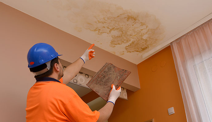 A professional inspecting water stained ceiling A professional inspecting water stained ceiling