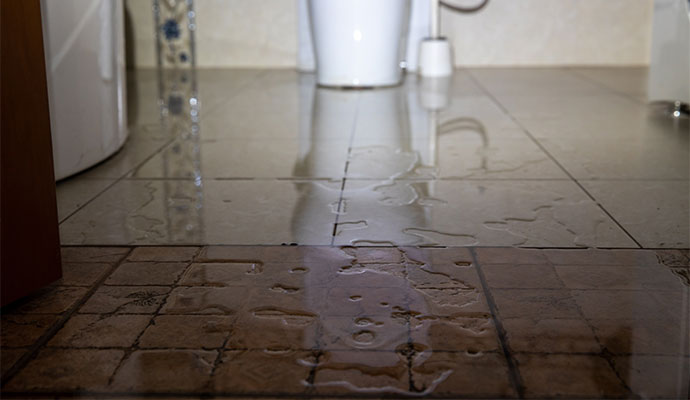 Wet toilet floor Wet toilet floor